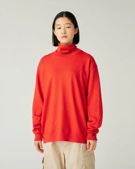 Washable Wool Crewneck Knit